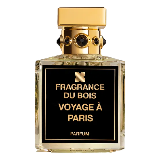 voyage-a-paris-1.png
