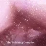 the_lip_polish_9_jojbNzvGXE.webp