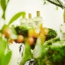 upcycled-mandarin (5).webp