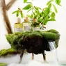 upcycled-mandarin (6).webp