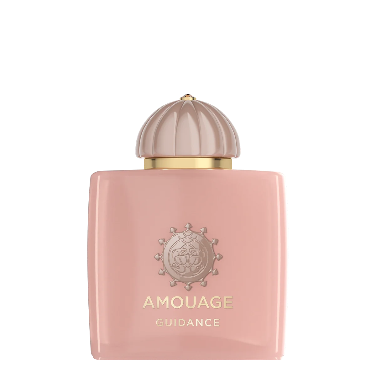 香水(ユニセックス) AMOUAGE GUIDANCE 100ml Eau de Parfum Guidance 100 ml de Amouage | Agoratopia România