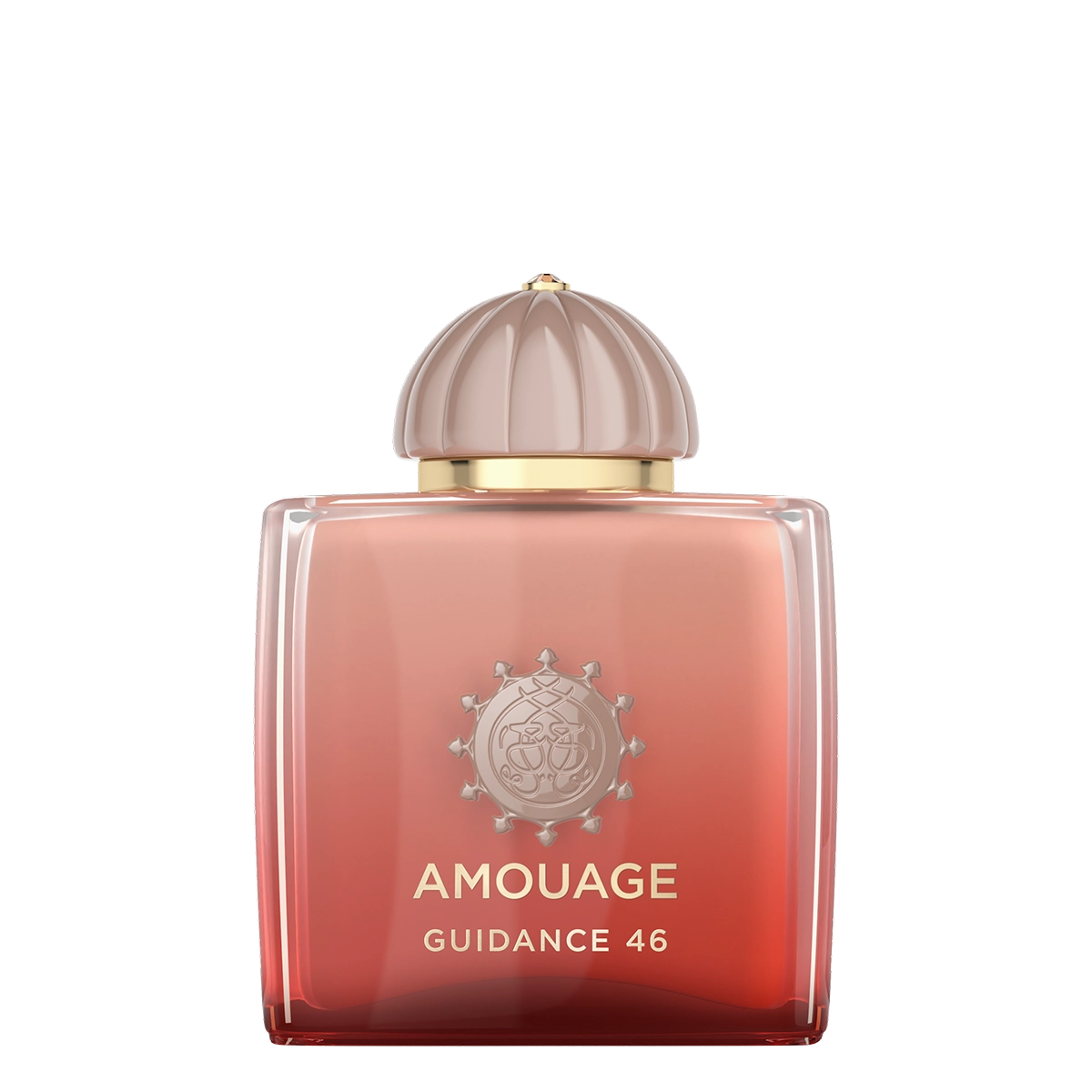 AMOUAGE GUIDANCE 46 100ml 香水 Guidance 46 Exceptional Extrait 100 ml de Amouage | Agoratopia România